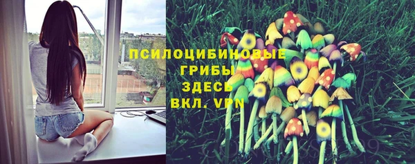 марки nbome Абаза