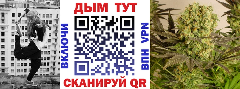 Конопля марихуана Сальск
